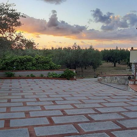 לינה וארוחת בוקר טראסיני Casanonnavittoria מראה חיצוני תמונה
