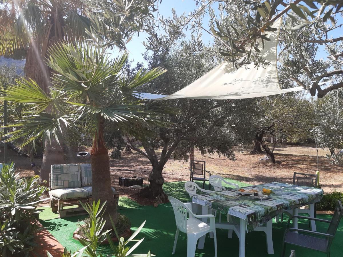 לינה וארוחת בוקר טראסיני Casanonnavittoria מראה חיצוני תמונה